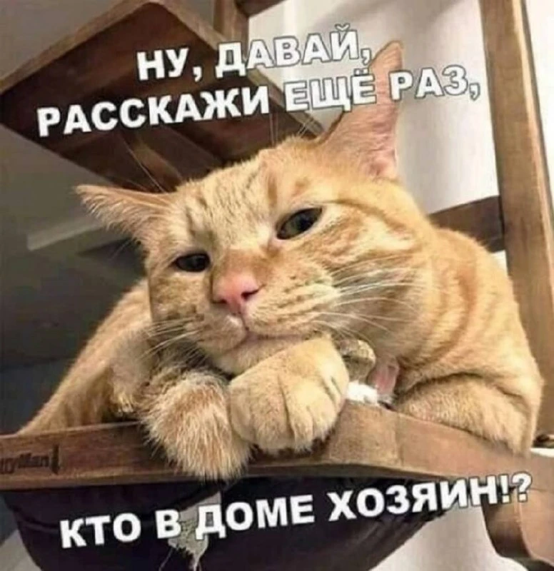 С добрым утром, а вы задумывались о том, на кого тратите больше денег💰 на себя, или св...