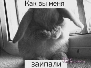 Некотopым людям не обязательно чтo-тo делать.