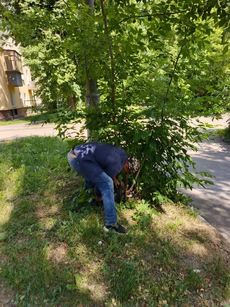 Спил аварийных деревьев и веток на придомовой территории МКД ул.Южная, 10, Комсомольская, 9.
Уважаем