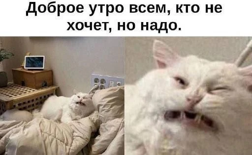 С началом трудовой недели!