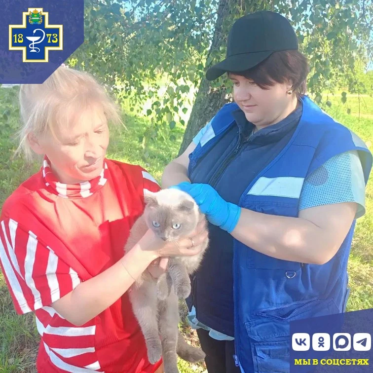 🐾 Ветеринарные будни специалистов Сухиничского отдела ГБУ КО "Сухиничская межрайонная ...