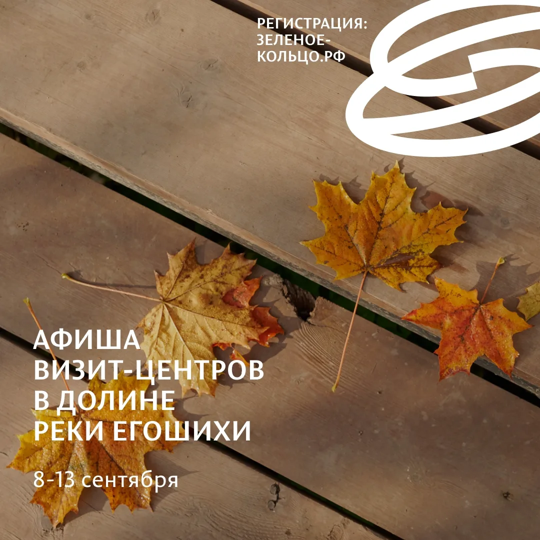📌Визит-центр «Егошиха» (ул. Разгуляйская, 3в)
