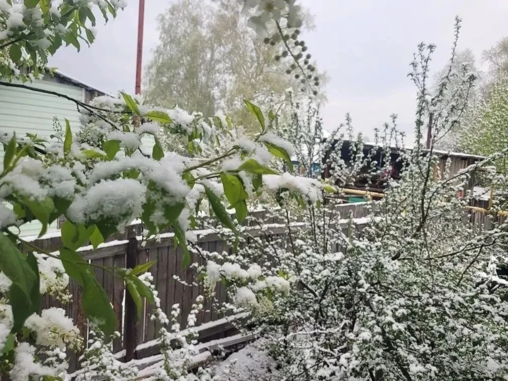 Ну когда уже будет тепло?