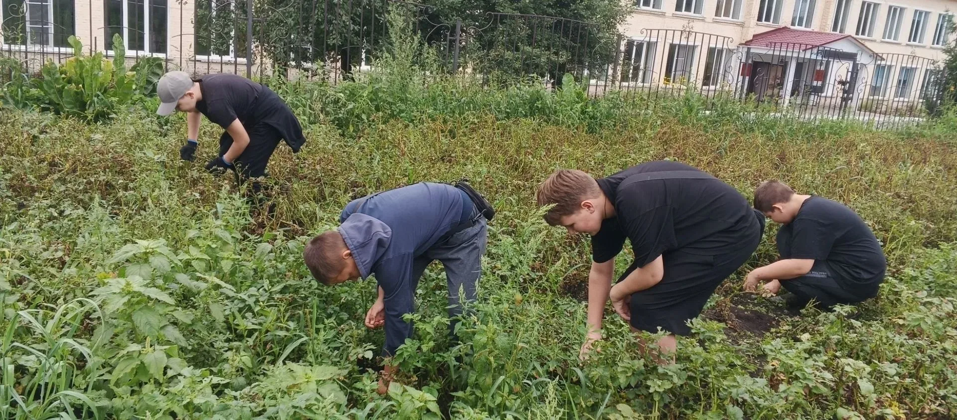 🌱 Трудовое лето продолжается 🌱