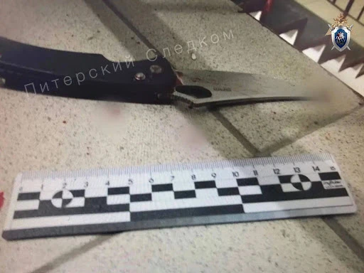 Покушение на убийство двух женщин с драматичным сюжетным поворотом расследуют в Петербу...