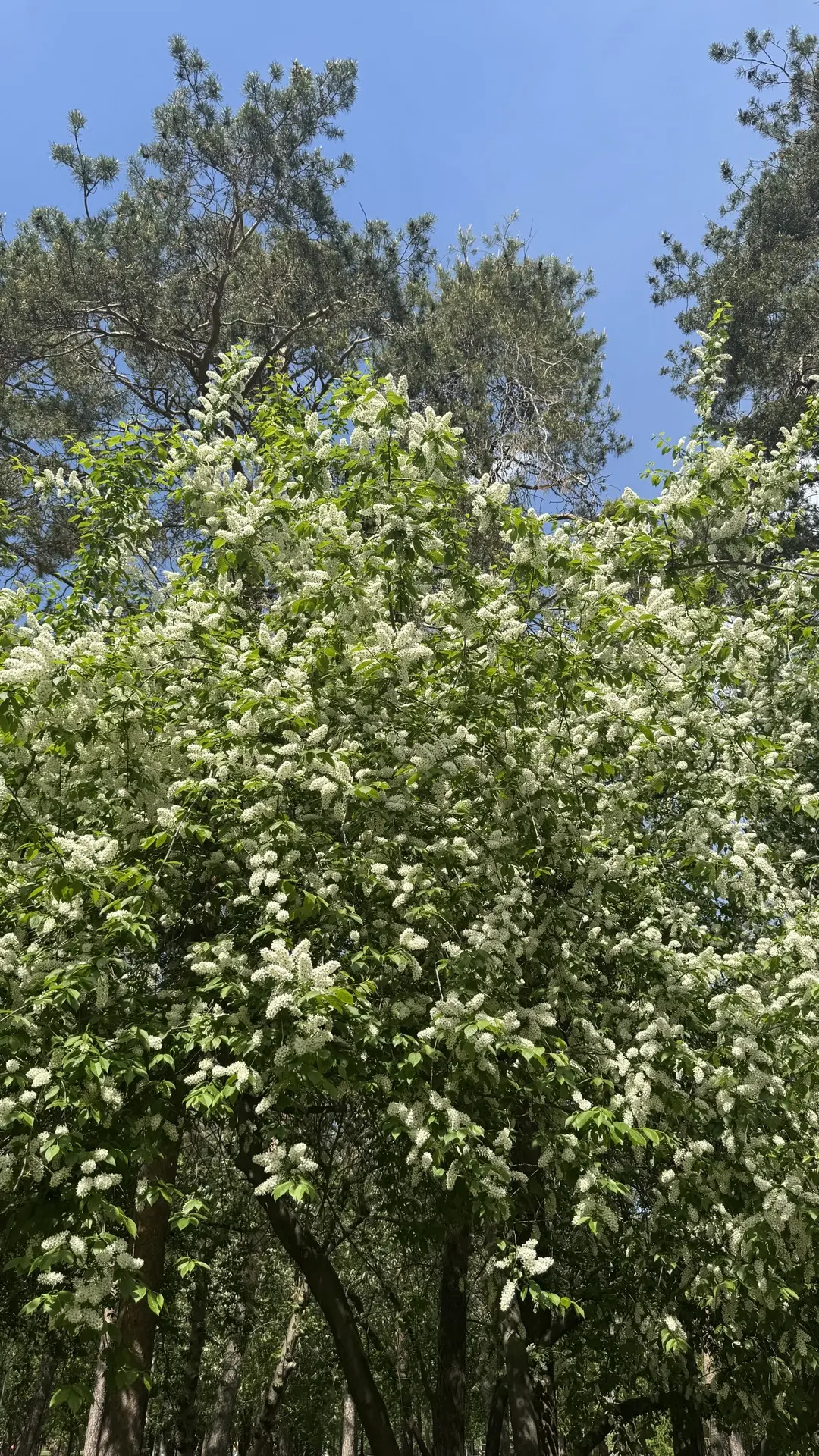 Как проходит утро 💐