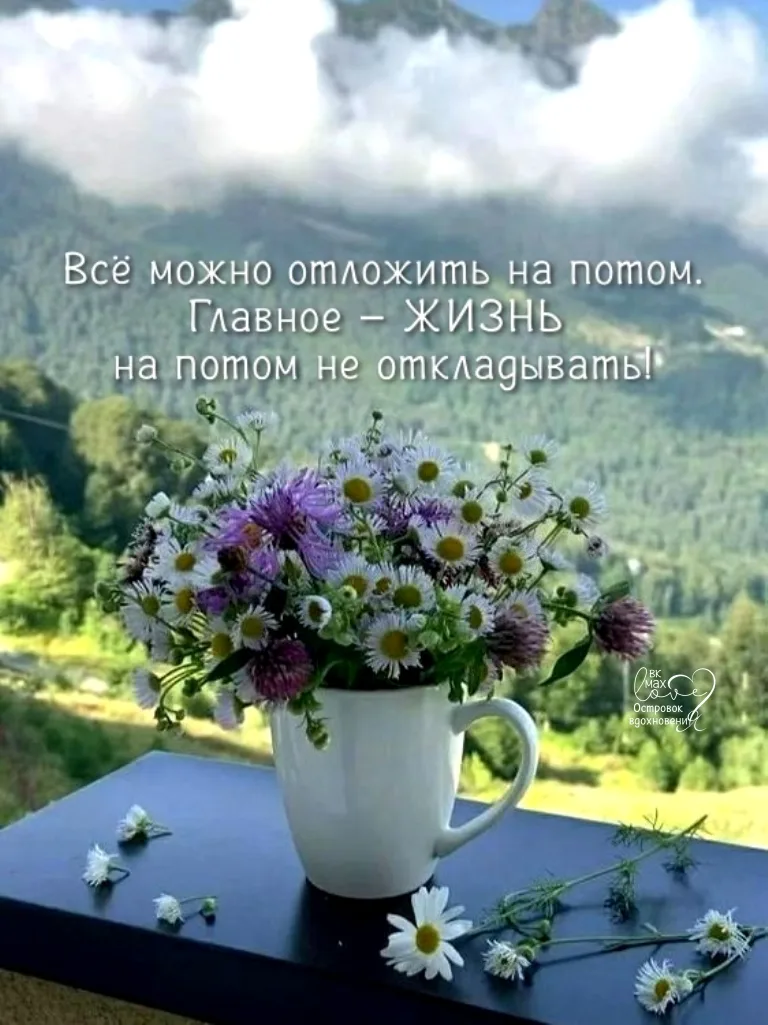 ───⋅୭⋅───
Островок Вдохновения