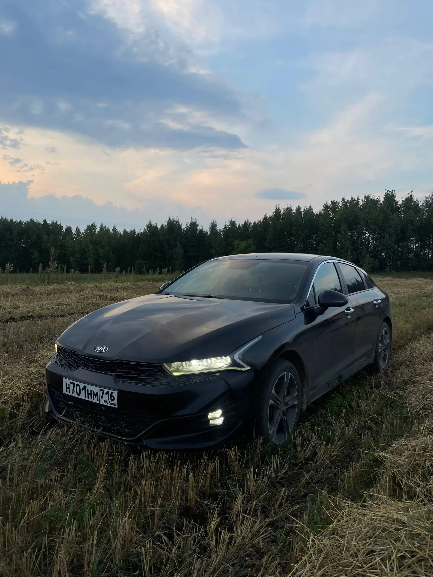 В продаже 🔥