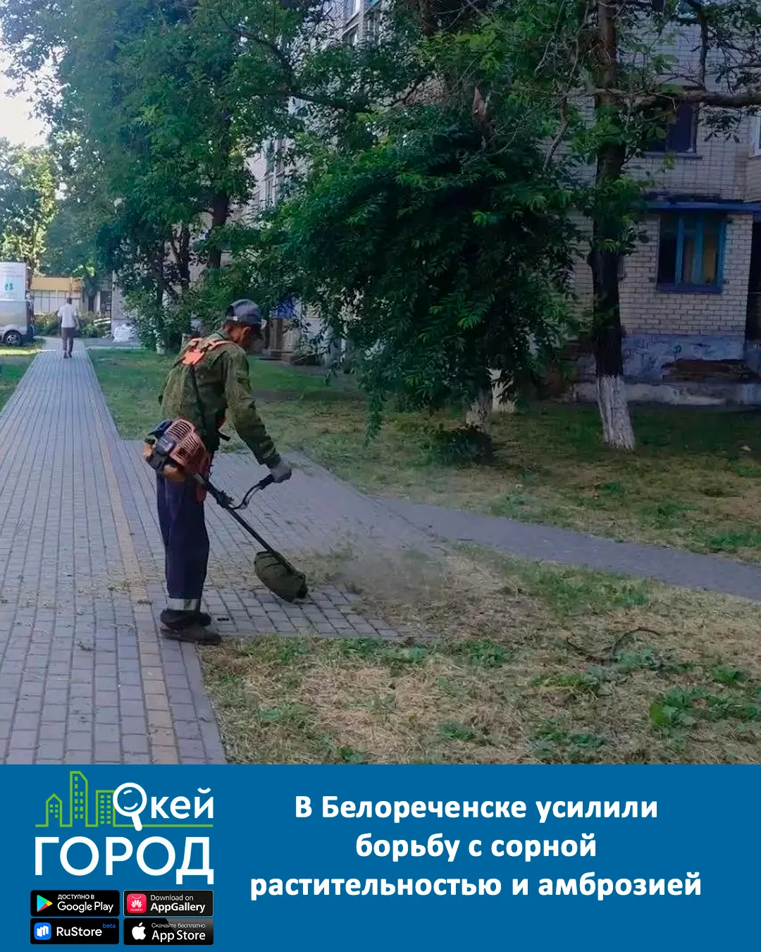 В Белореченске усилили борьбу с сорной растительностью и амброзией

Отдел санитарной уборки совместн