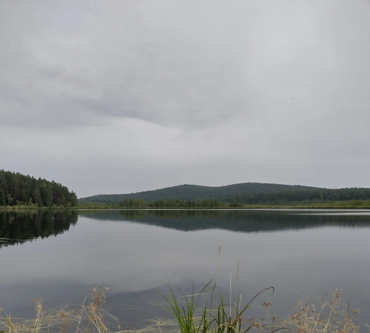 «Лес и вода — родные брат и сестра»