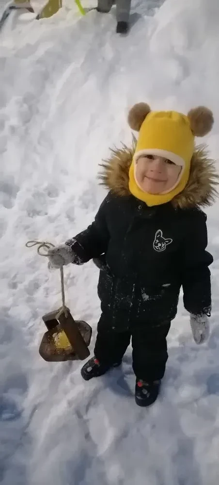 Зимующие птицы под нашей защитой