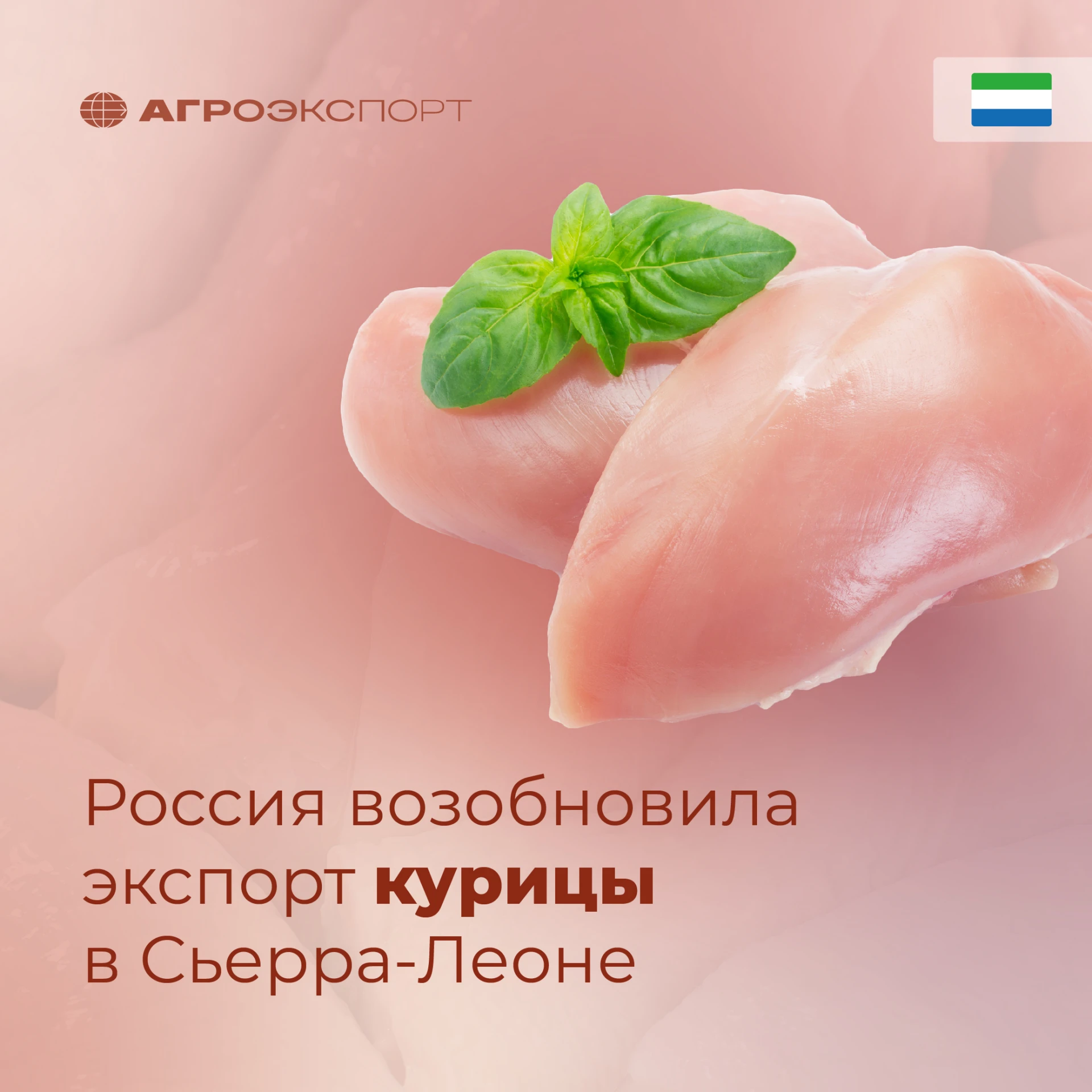 Россия возобновила экспорт курицы в Сьерра-Леоне