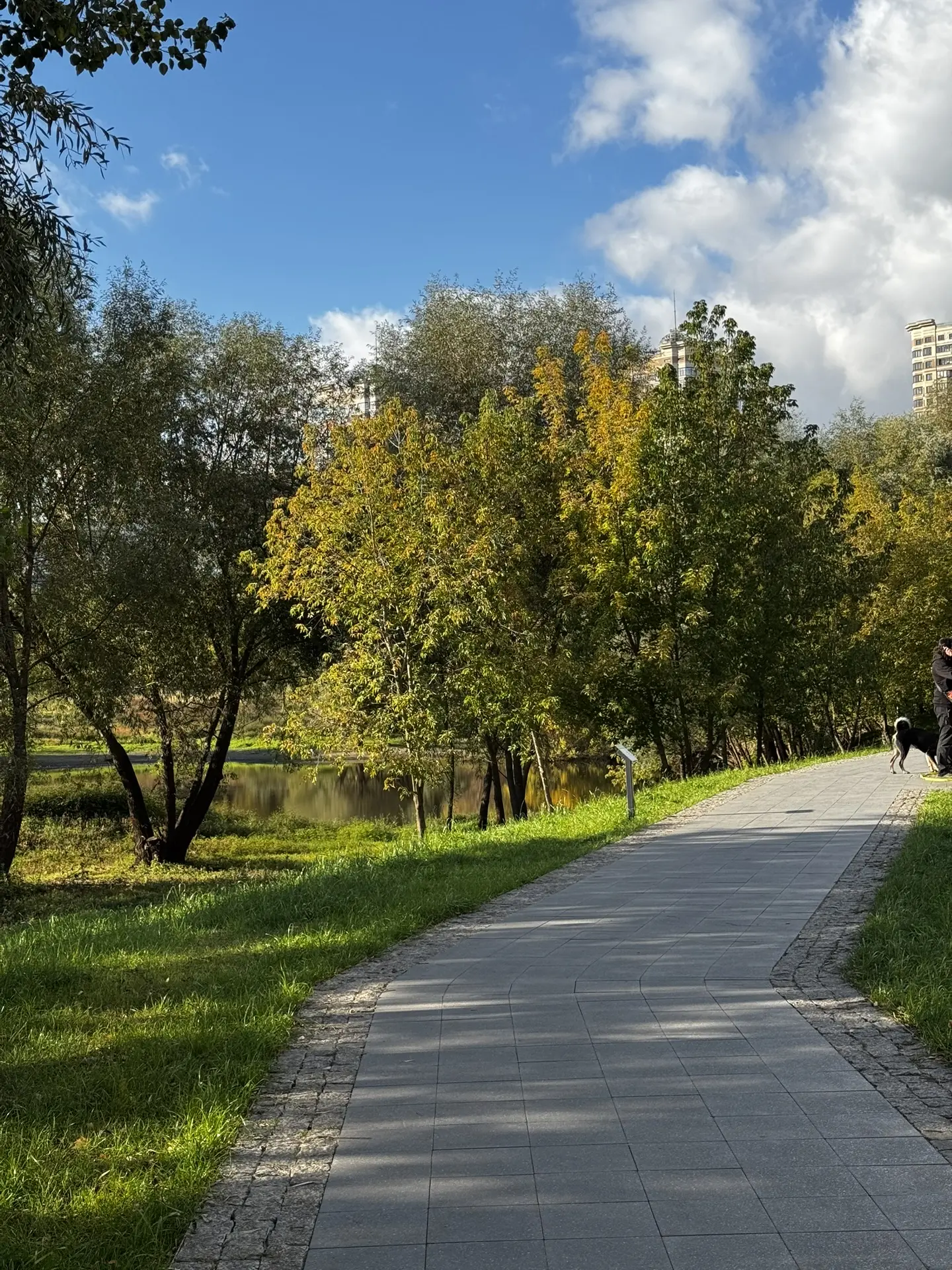 🦔ПОНЕДЕЛЬНИК🍂