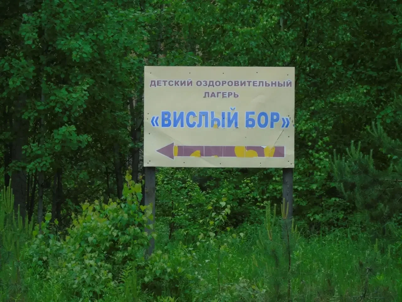 Администрация Моршанского муниципального округа информирует: в загородном лагере «Вислы...