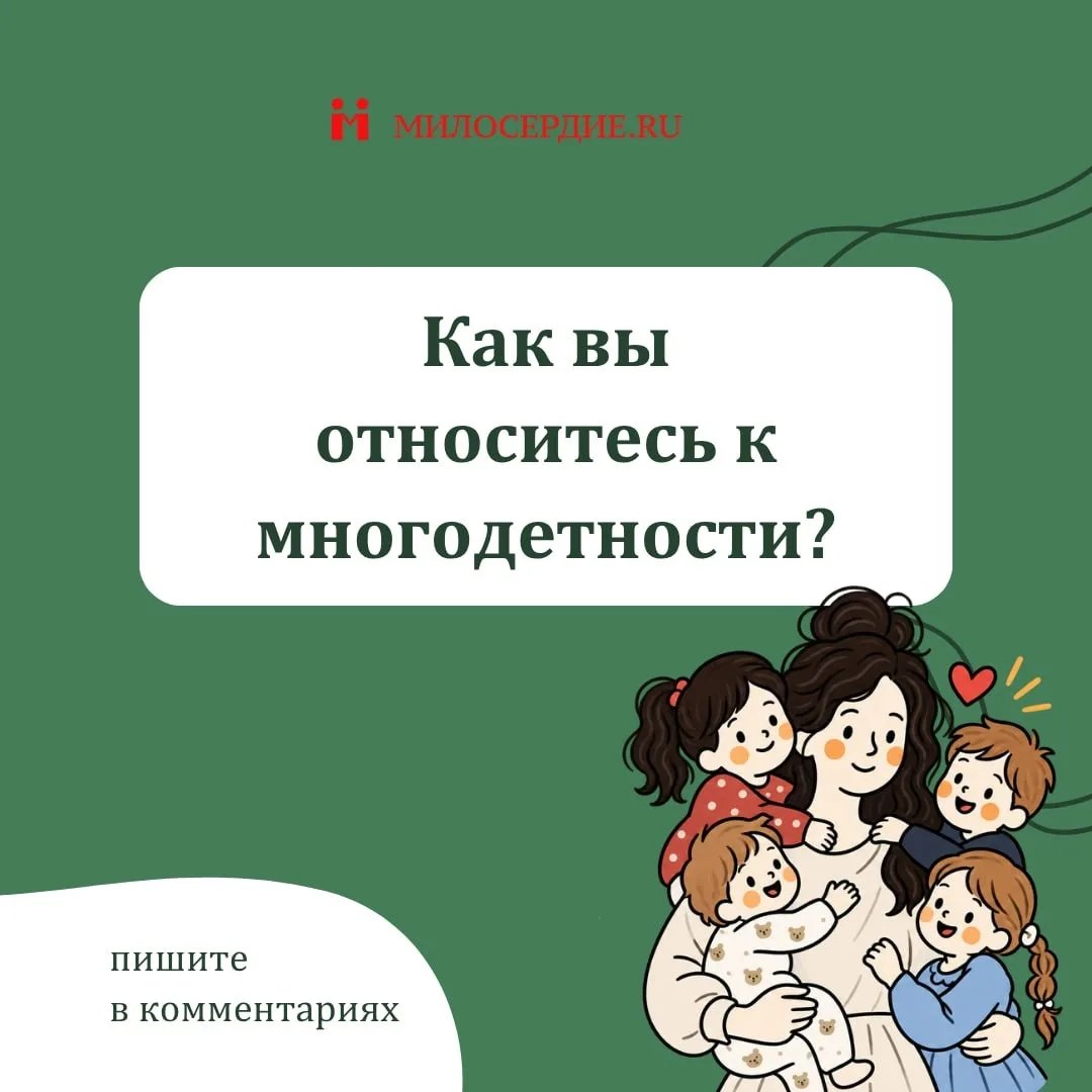 К многодетности относятся по-разному. Некоторые считают, что многодетным хорошо живется...