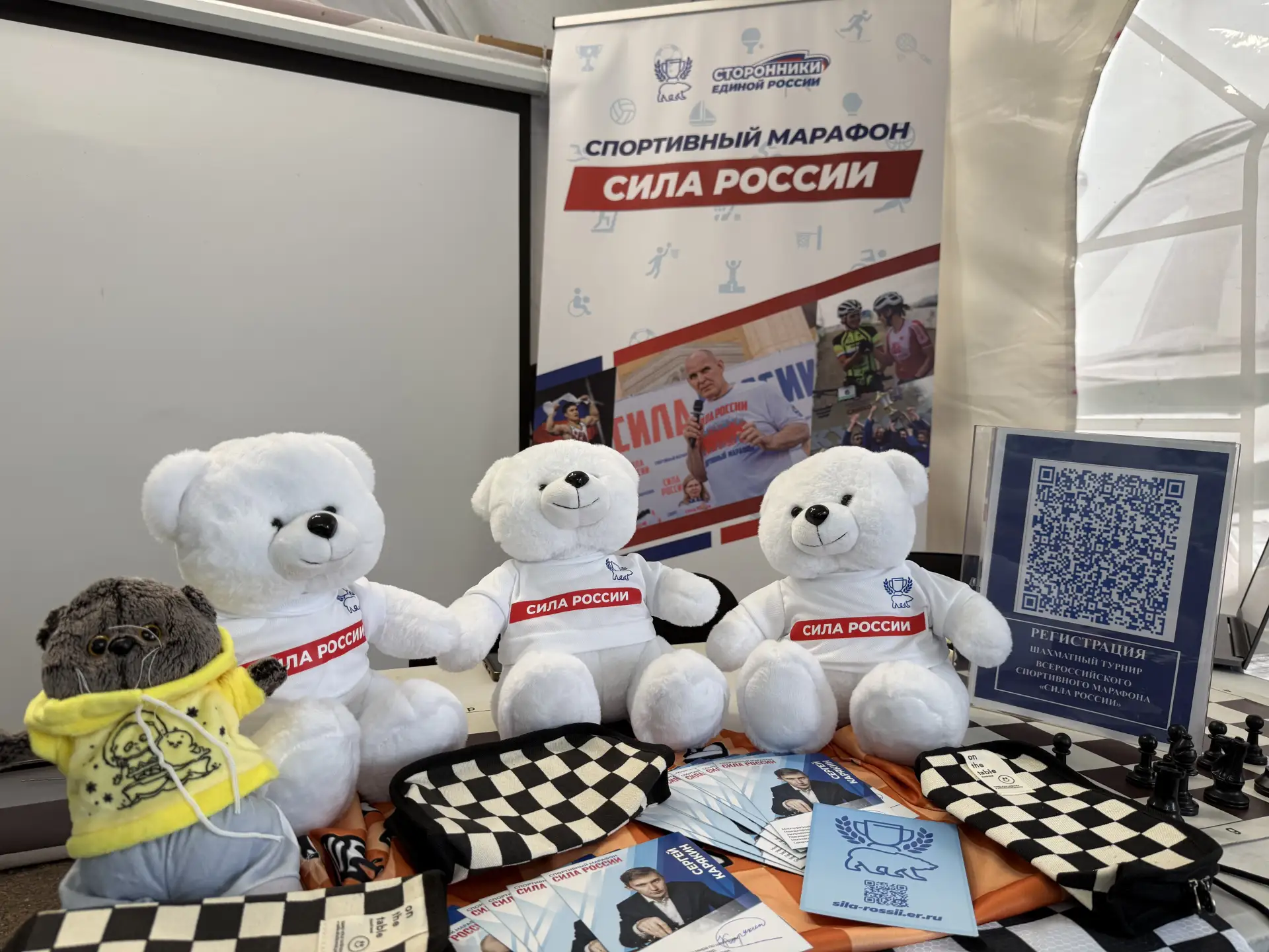 🤝 «Сила России» объединила шахматистов Владивостока