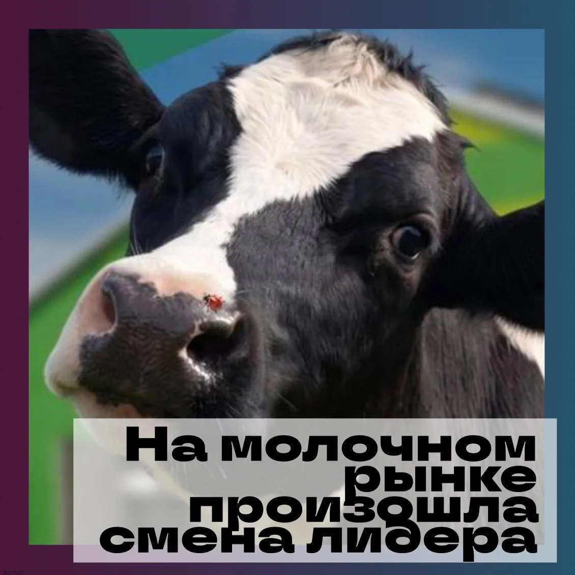 🥛 Российский молочный рынок последние полтора года балансирует между инфляцией, падающим спросом и 
