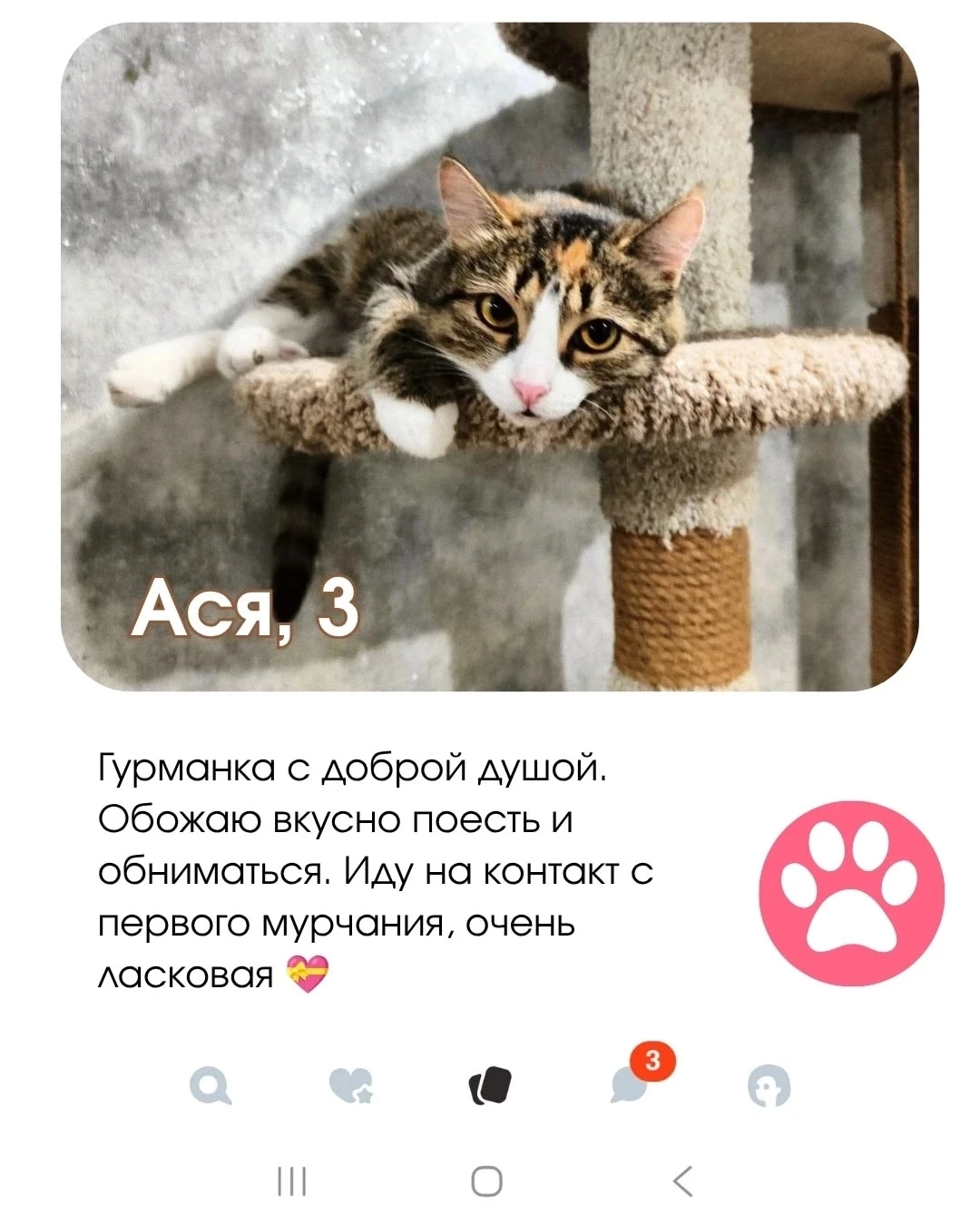 Они ищут мэтч: анкеты хвостатых