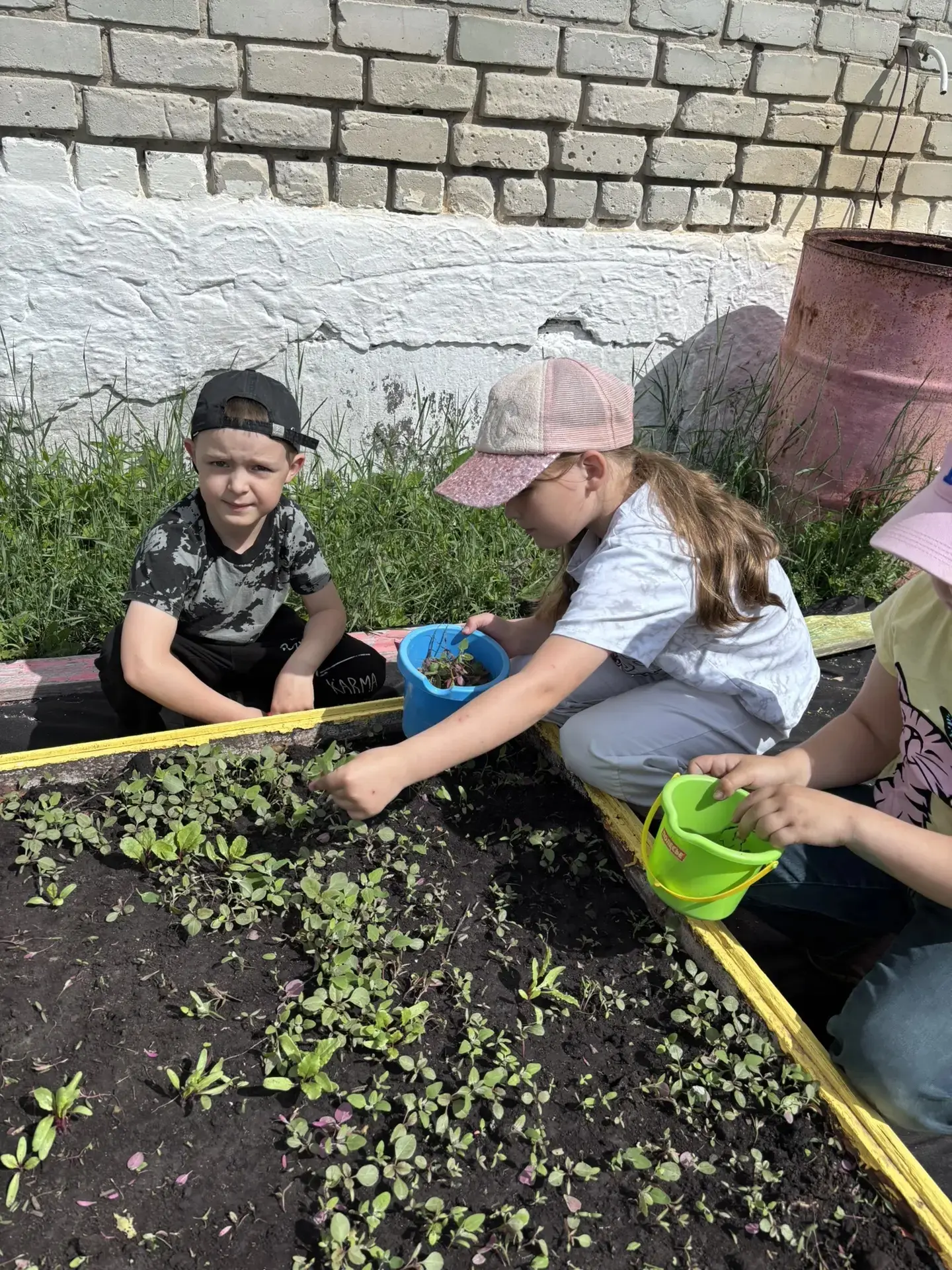 🌱 Маленькие огородники, большие дела!