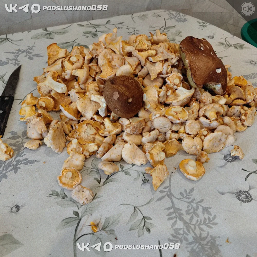 🍄 Белые да лисички.

Минувшим днём, жительница города Сурск Пензенской области Валентина А., соверш