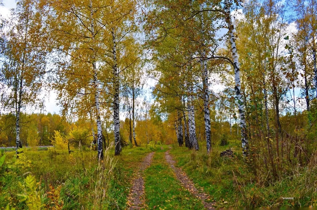 Просто Осень друзья🍁🍂....просто Осень 🍁🍂🍁