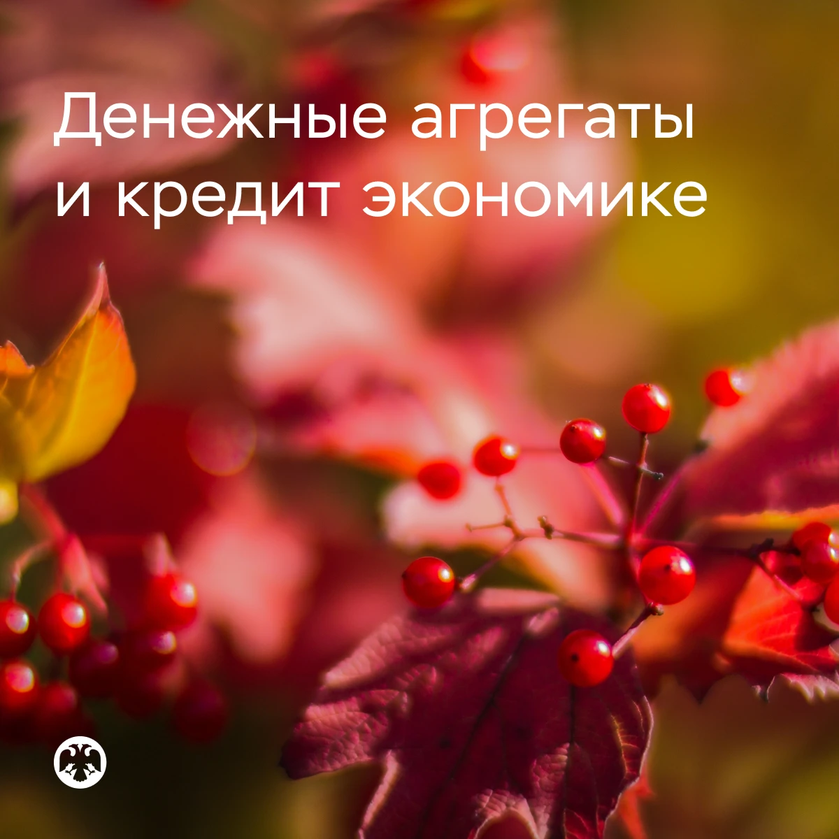 Денежная масса и кредит экономике продолжили расти в августе