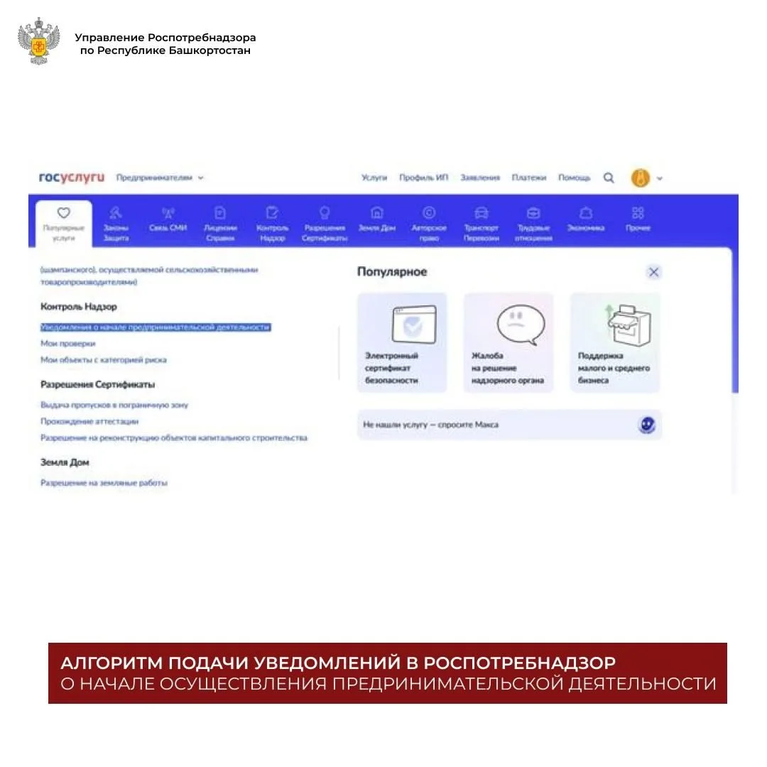 Алгоритм подачи уведомлений в Роспотребнадзор о начале осуществления предпринимательской деятельност