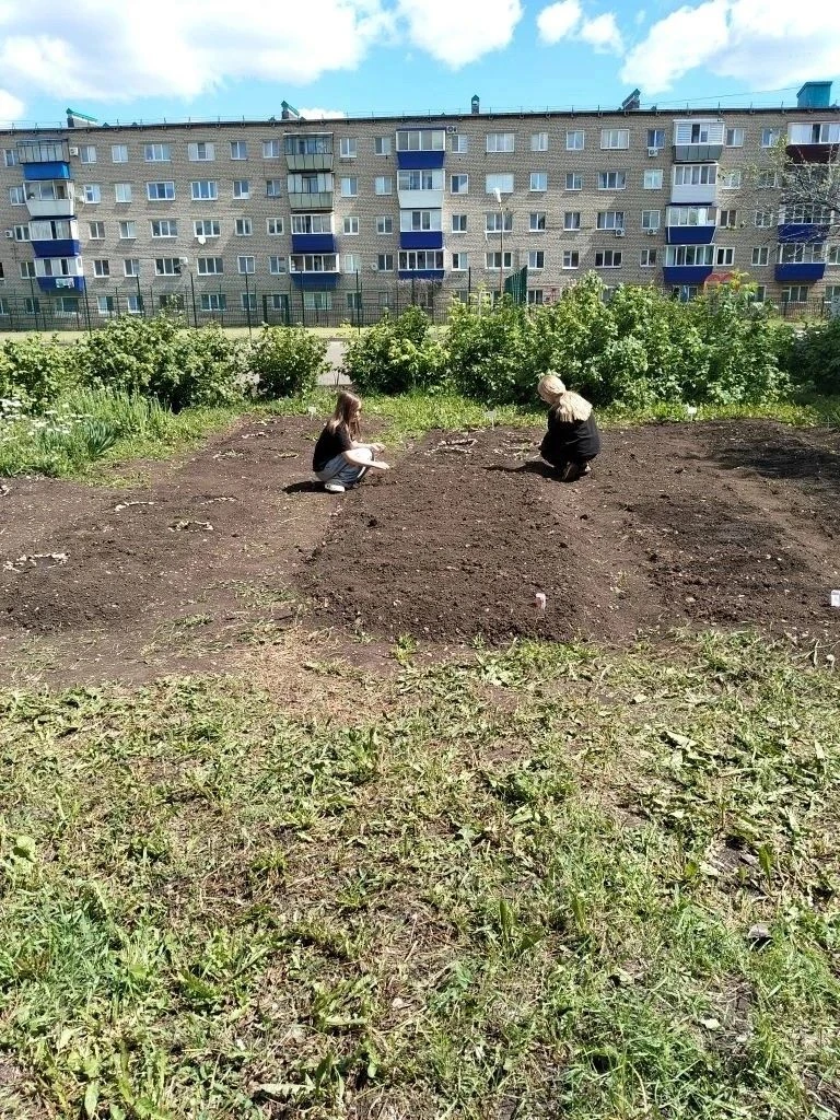🌱 Начало положено!
Первые недели лета для учеников 5 «Б» и 5 «Г» классов прошли активно и результат