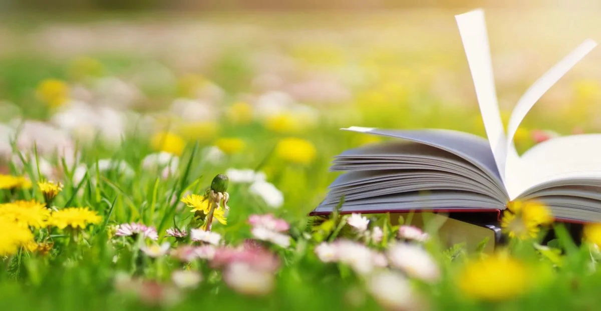 📖 Читаем летом 

🌱 Лето — отличная возможность спокойно и с удовольствием почитать: без спешки, в 