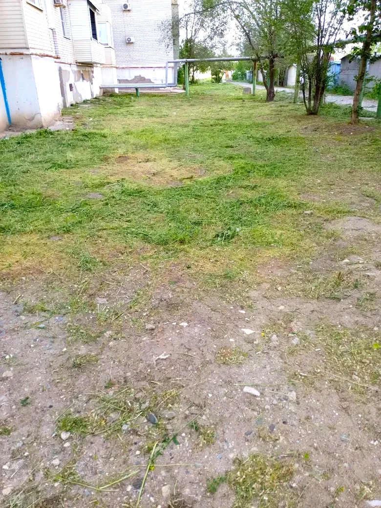 К новости «🌱 Ухоженные газоны и порядок во дворе!»
