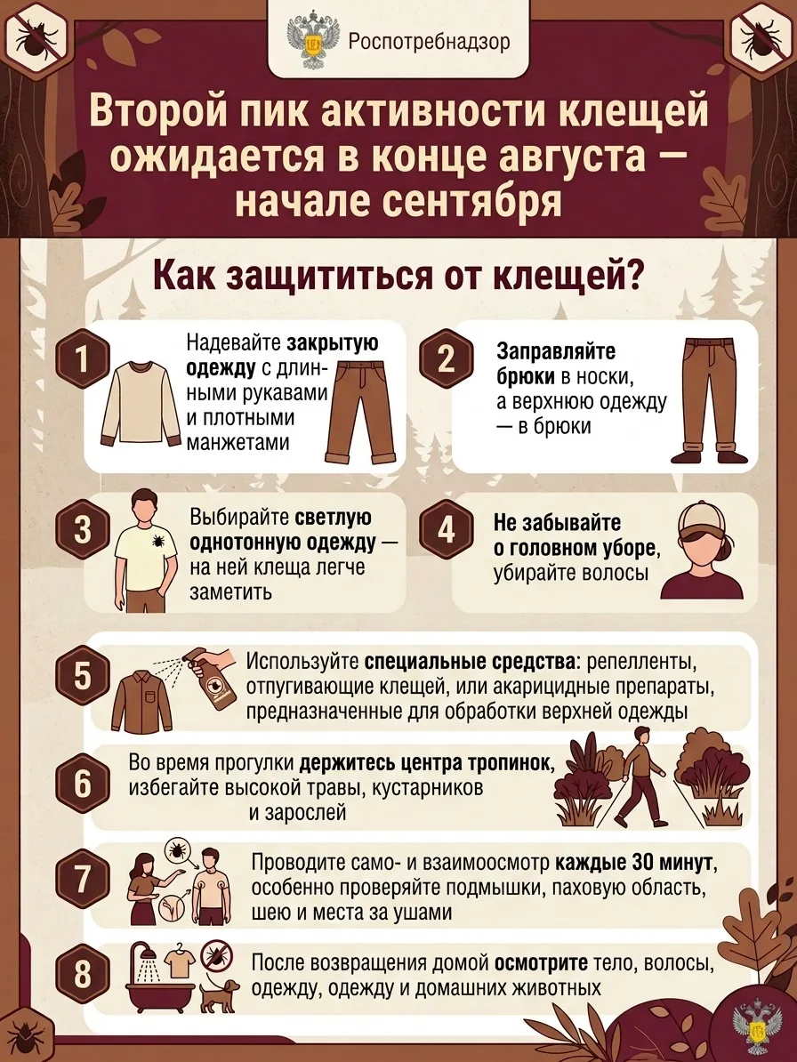 📢 Роспотребнадзор информирует: второй пик активности клещей ожидается в конце августа ...