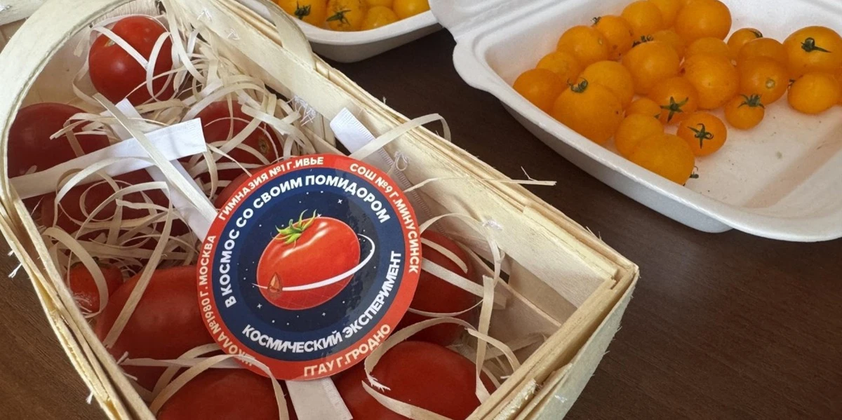 🍅Космическая рассада принесла съедобные плоды без токсинов.