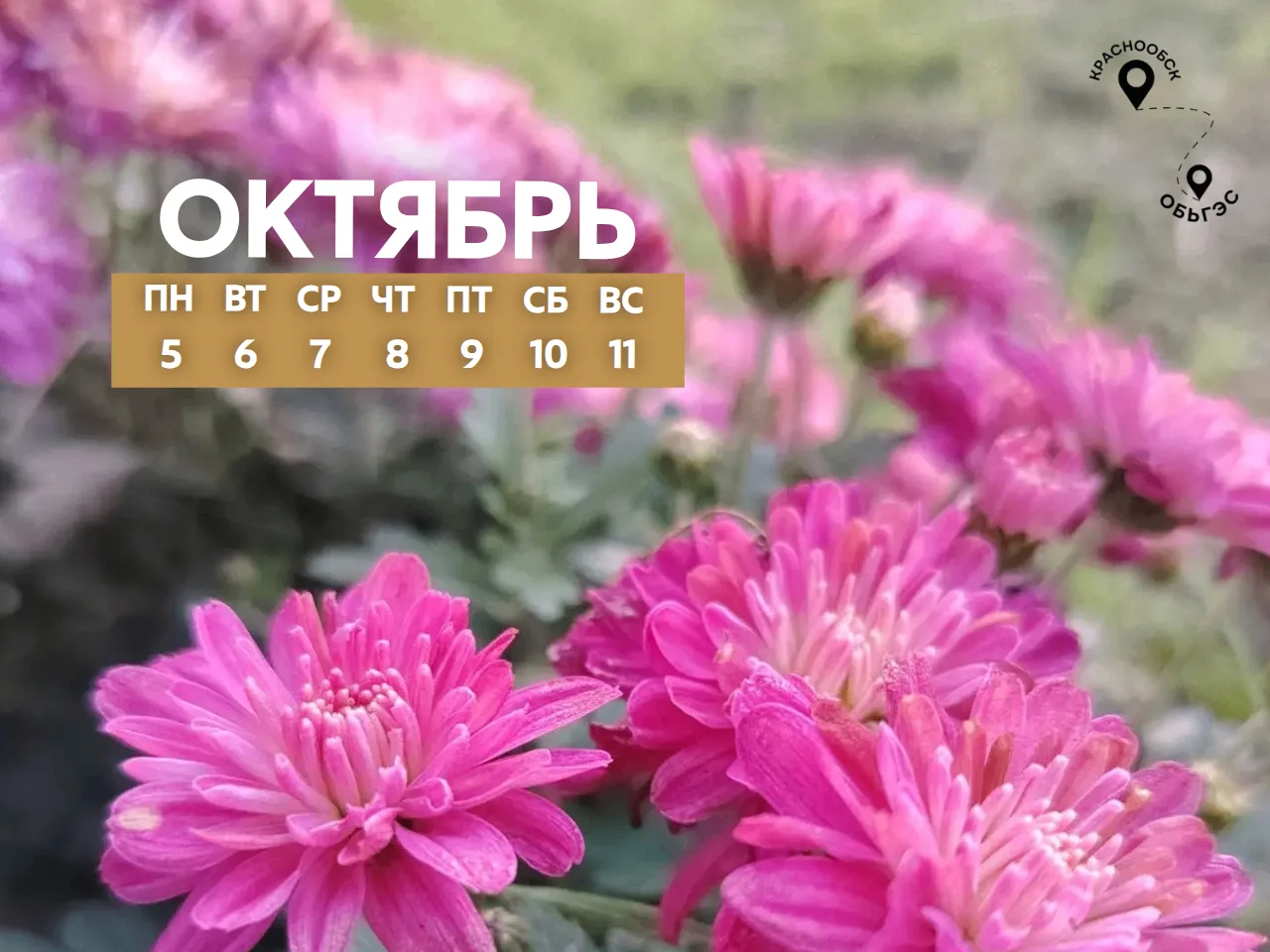 🗓 5 – 11 ОКТЯБРЯ