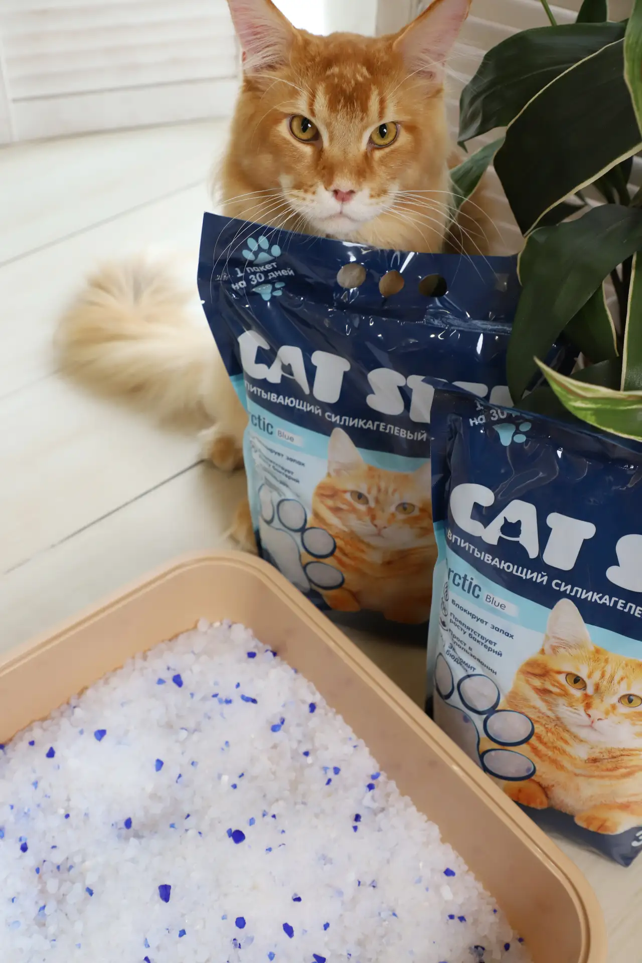 Почему котовладельцы выбирают силикагелевые наполнители CAT STEP?

⚡️ 1. Мгновенное впитывание
Силик