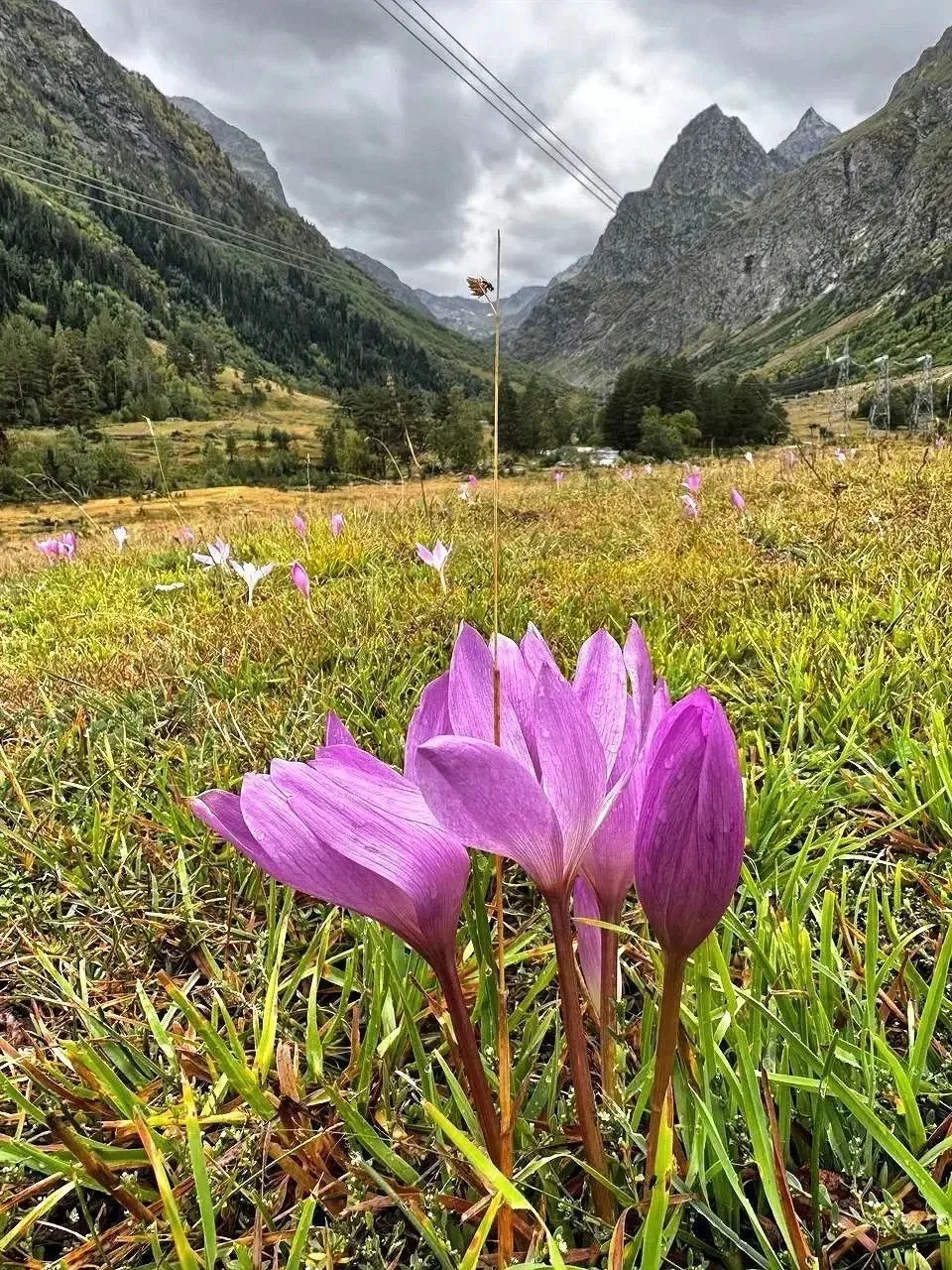 🏔 Махарское ущелье, Карачаевский район
Карачаево Черкесская республика

📌 Климат в Махарском ущель