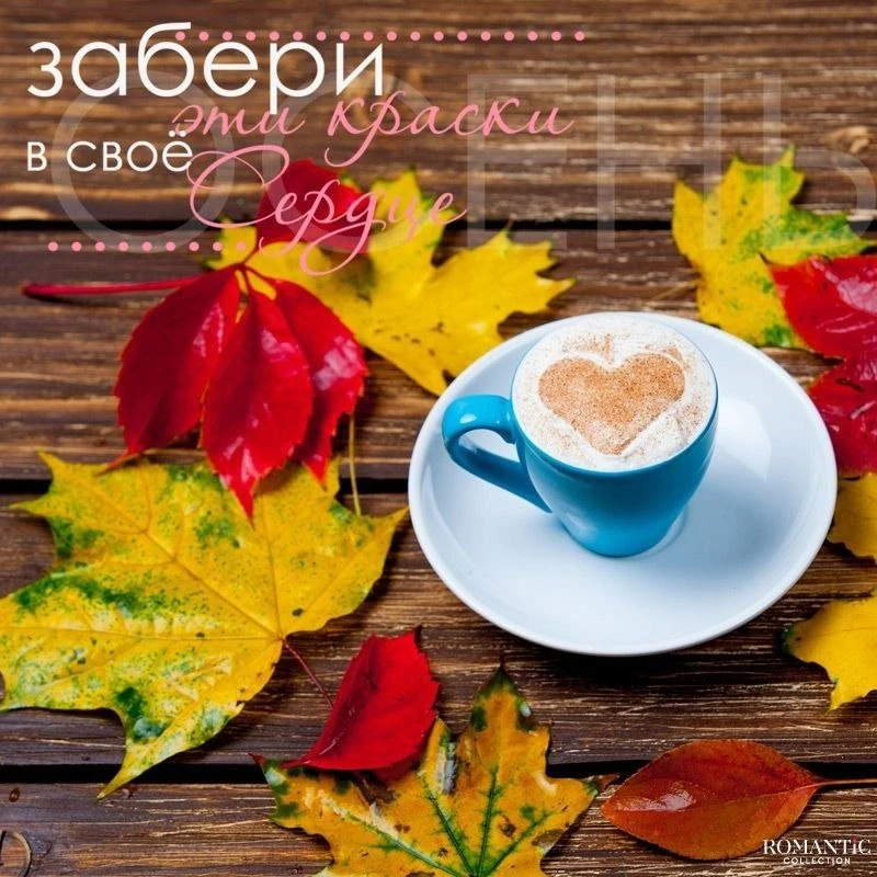 Сентябрь ― это первый шаг в осень. И он дарит совершенно новые моменты в жизни.