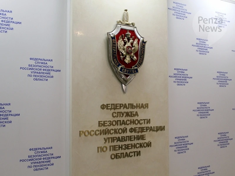 Вступил в силу приговор жителю Пензенской области, осужденному за содействие террористи...