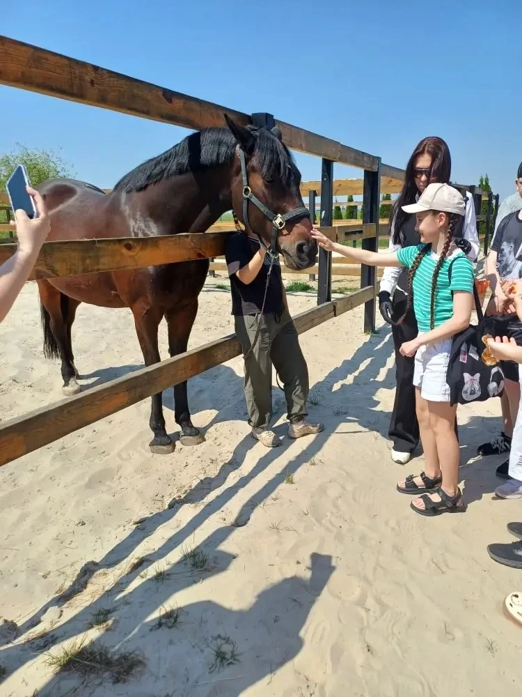 🐴✨3Б класс посетил конную усадьбу «Путь»!  Для ребят провели увлекательную экскурсию, где они познак