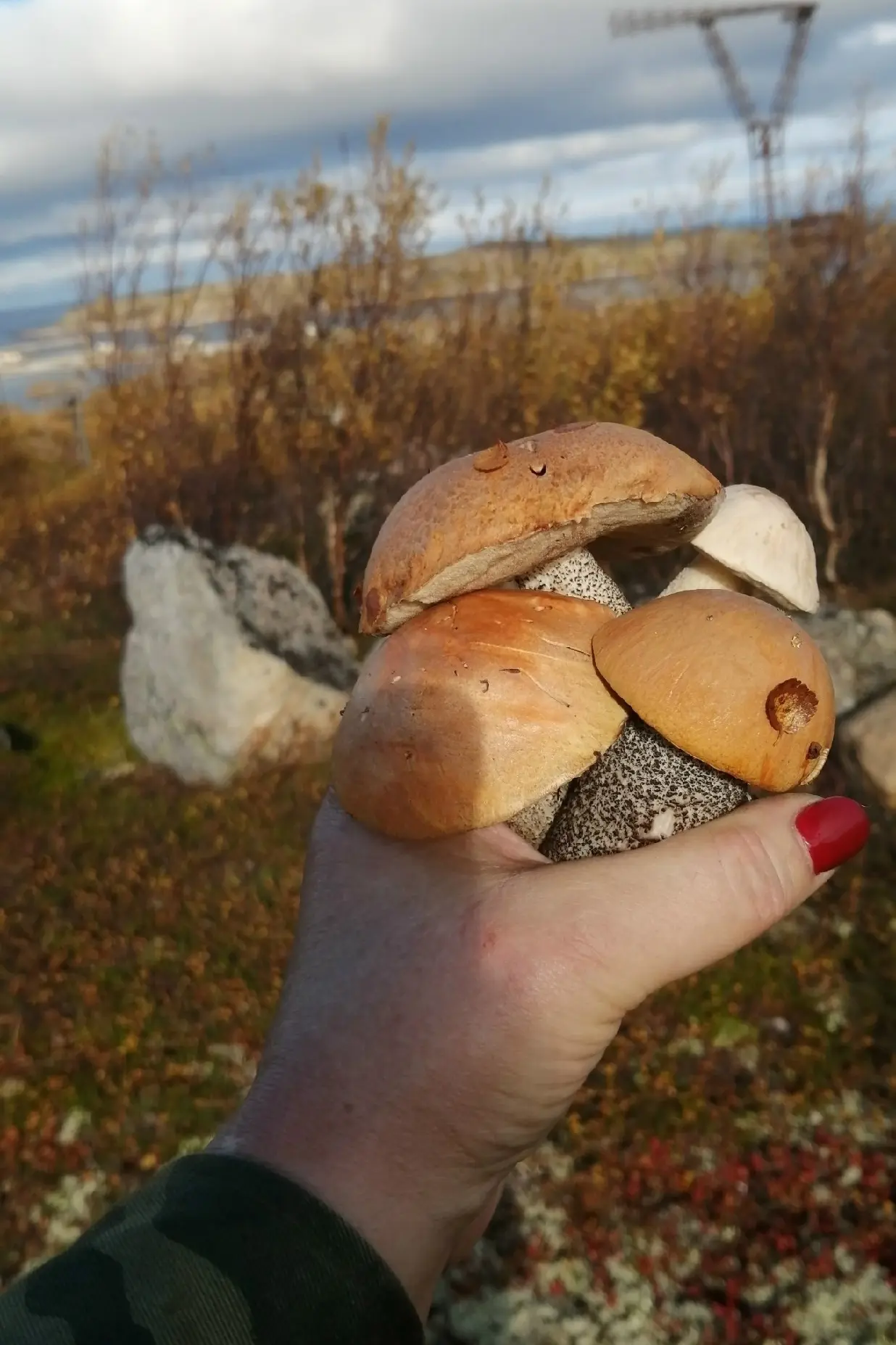 Доброе утро)