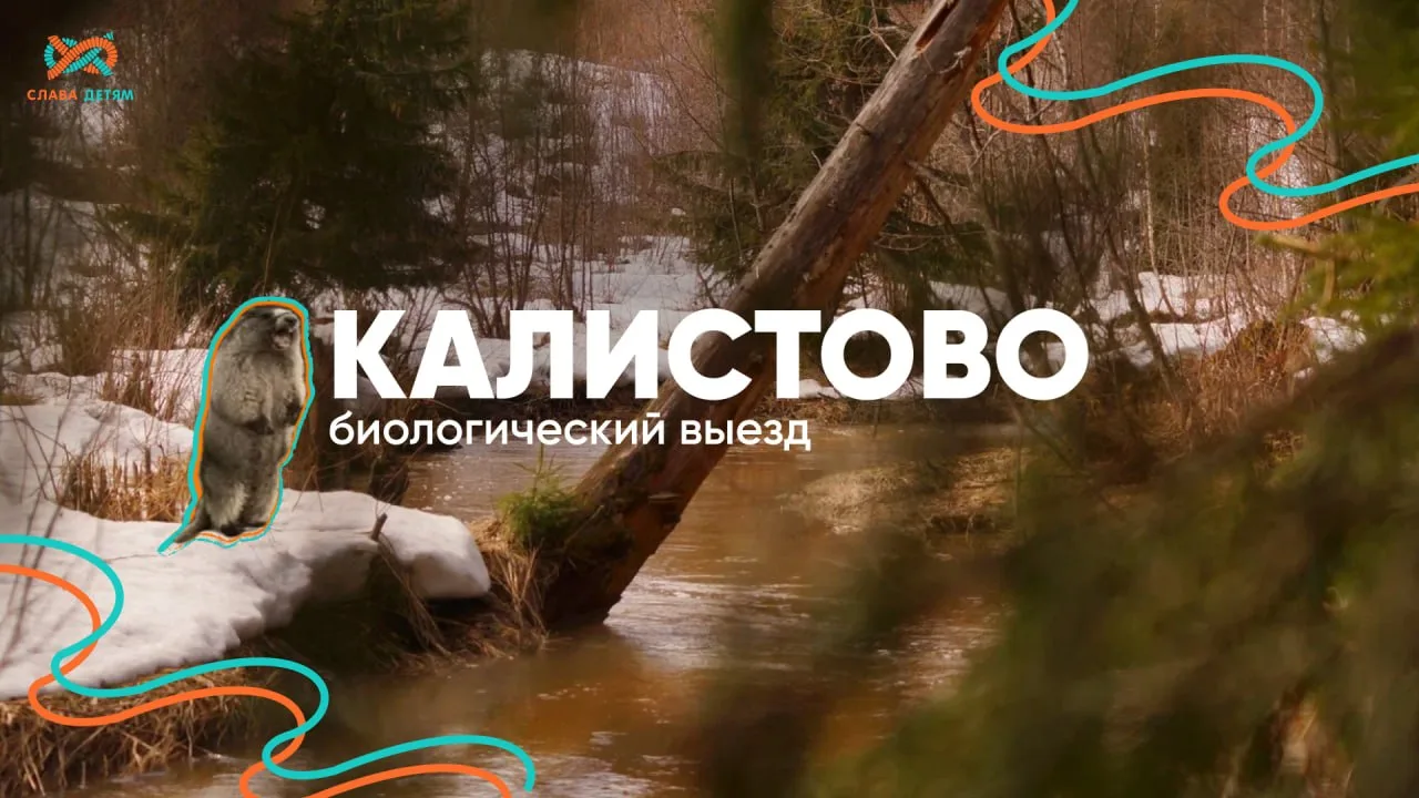 Этому животному посвящают песни, он забавно «кричит» и перекраивает лес под себя.