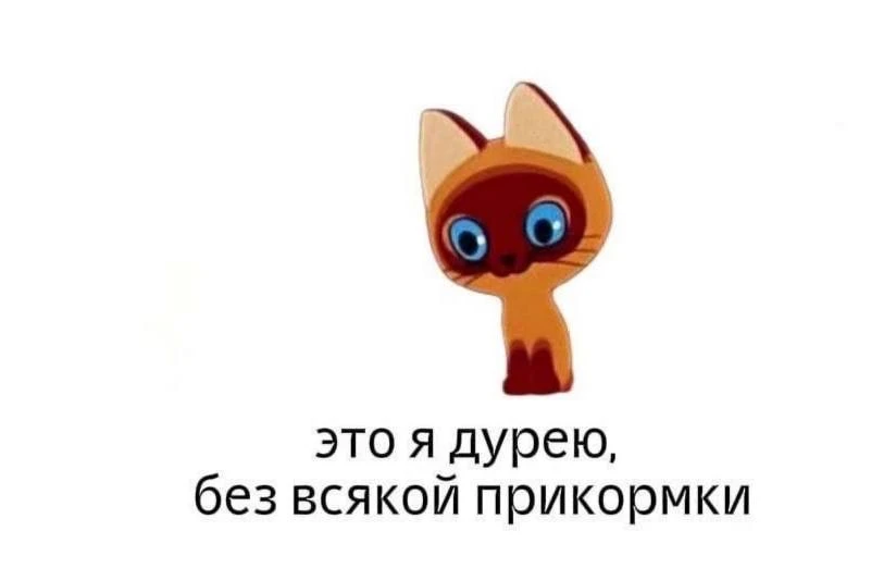 Коллеги, мы в ситуации блокировок, отсутствия моб. связи и новых мессенджеров?