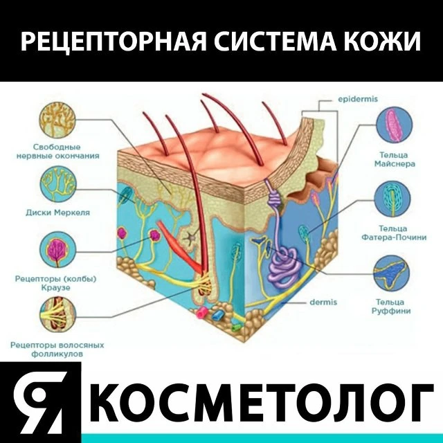 Сохраните шпаргалку, чтобы не потерять📥
