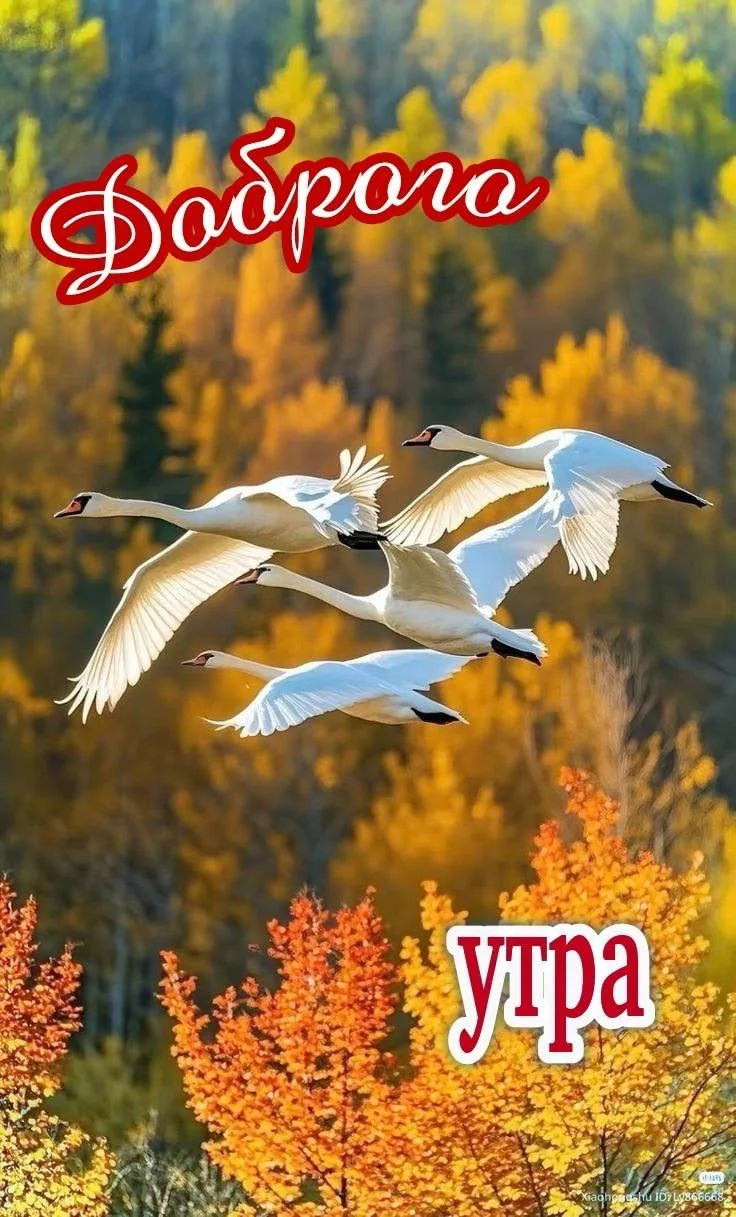 🌷 Открытки подписаться 👈