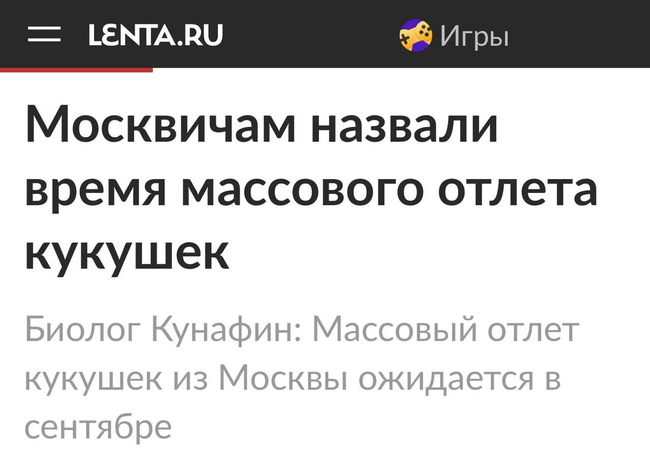💁‍♂ Если у кого-то ещё не отлетела