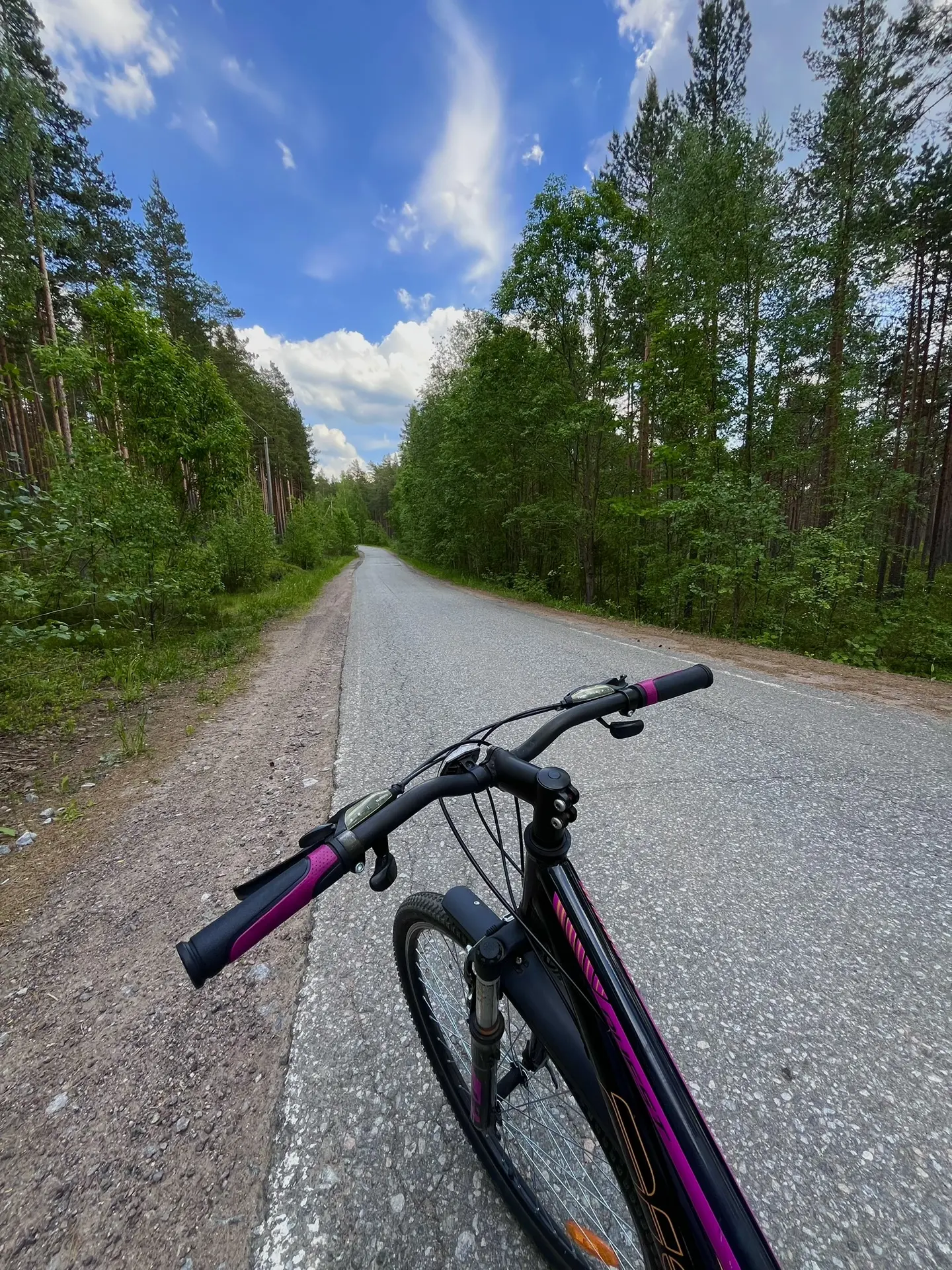 Лето создано для того, чтобы двигаться🚲