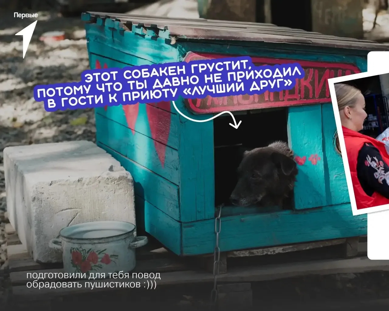 ПОМОГАЕМ ЖИВОТНЫМ