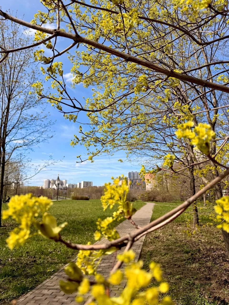 🌺 День Весны и Труда в Ландшафтном парке «Митино»   Приглашаем всех гостей парка на праздничные меро