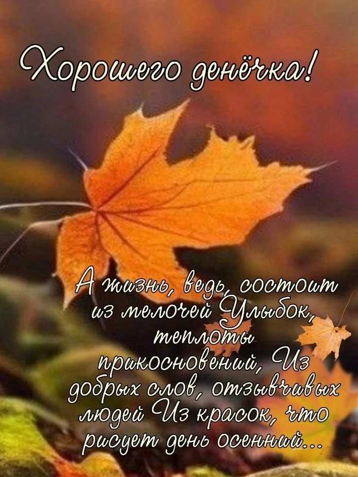 Хорошего дня!
