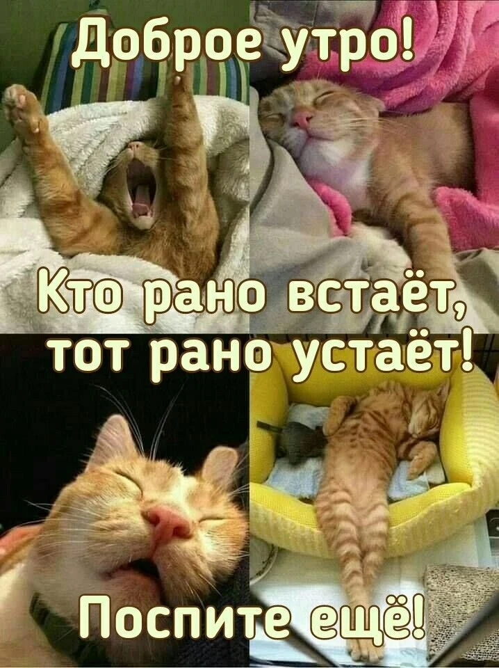 Добрые открытки