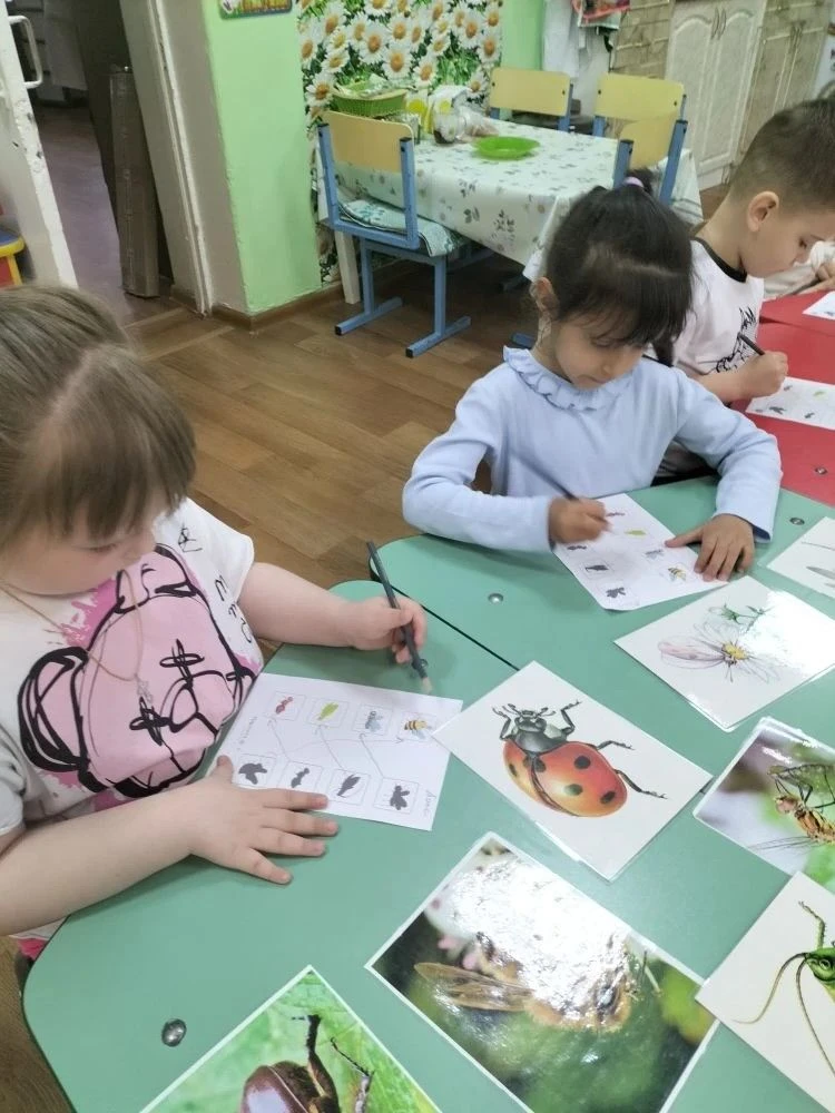 В рамках тематической недели " Насекомые и пауки" в старшей группе "Ромашки" СП "Улыбка" прошло инте